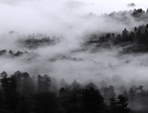 Kashmir in December